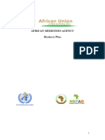 African Business Plan Draft 10 Feb 2024