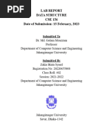 Ds Final Lab Report