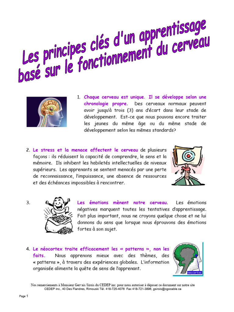 Comprendre le cerveau et l'apprentissage | PDF | Cerveau | Apprentissage