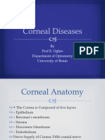 Corneal Diseases Oghre