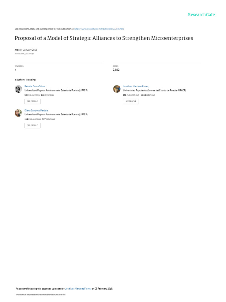 Strategic Alliances for Microenterprise Growth | PDF | Entrepreneurship ...