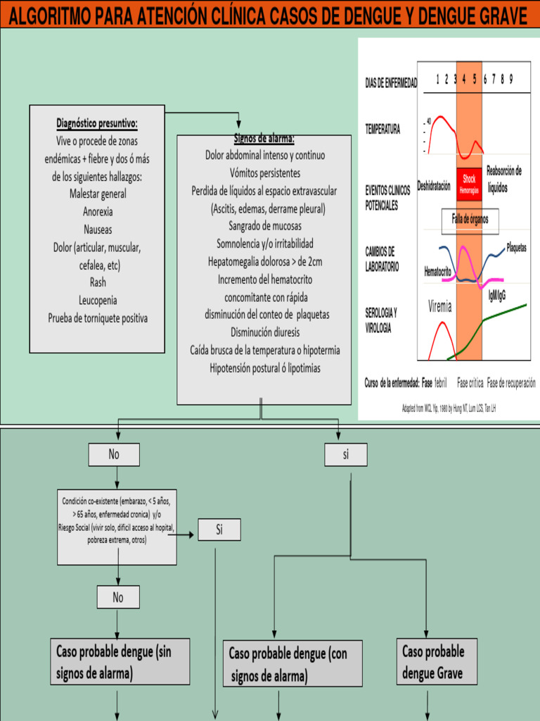 Algoritmo Dengue 180210 | PDF | Aspirina | Medicina CLINICA