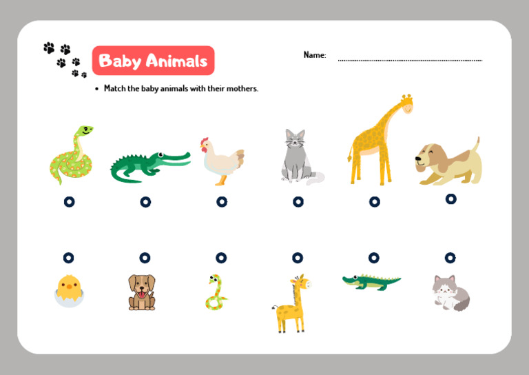 Match Baby Animals Worksheet Matching Cute Activity 7 Years Old 6 Years ...
