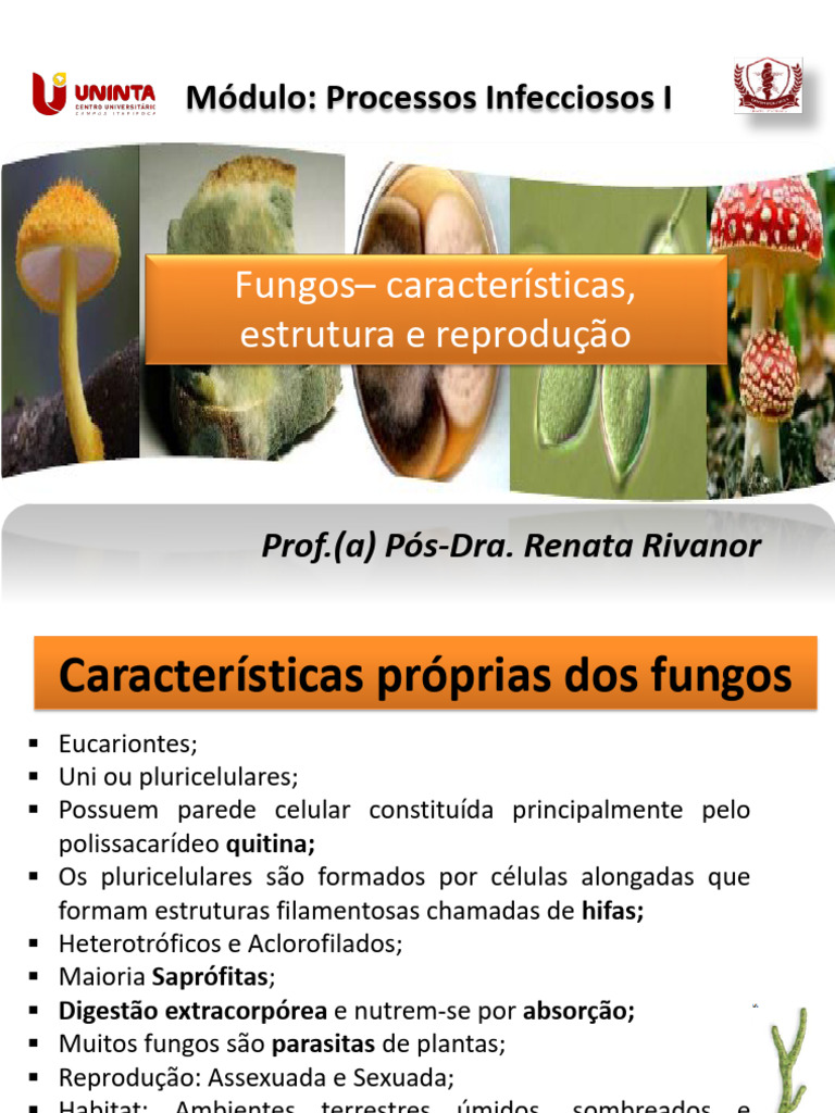 Estrutura e Reprodução dos Fungos | PDF | Fungo | Fermento