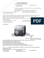 Atividade Sobre Impactos Ambientais