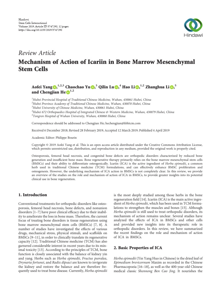 Mechanism of Action of Icariin in Bone Marrow Mesenchymal Stem Cells ...