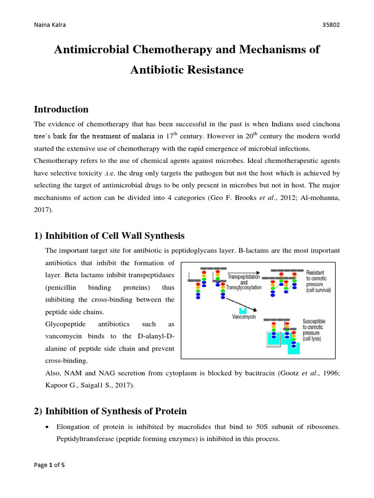 Antimicrobial Chemotherapy and Mechanisms of Antibiotic Resistance