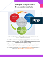 Qu'est-Ce Les TCC Thérapies Cognitives Comportementales