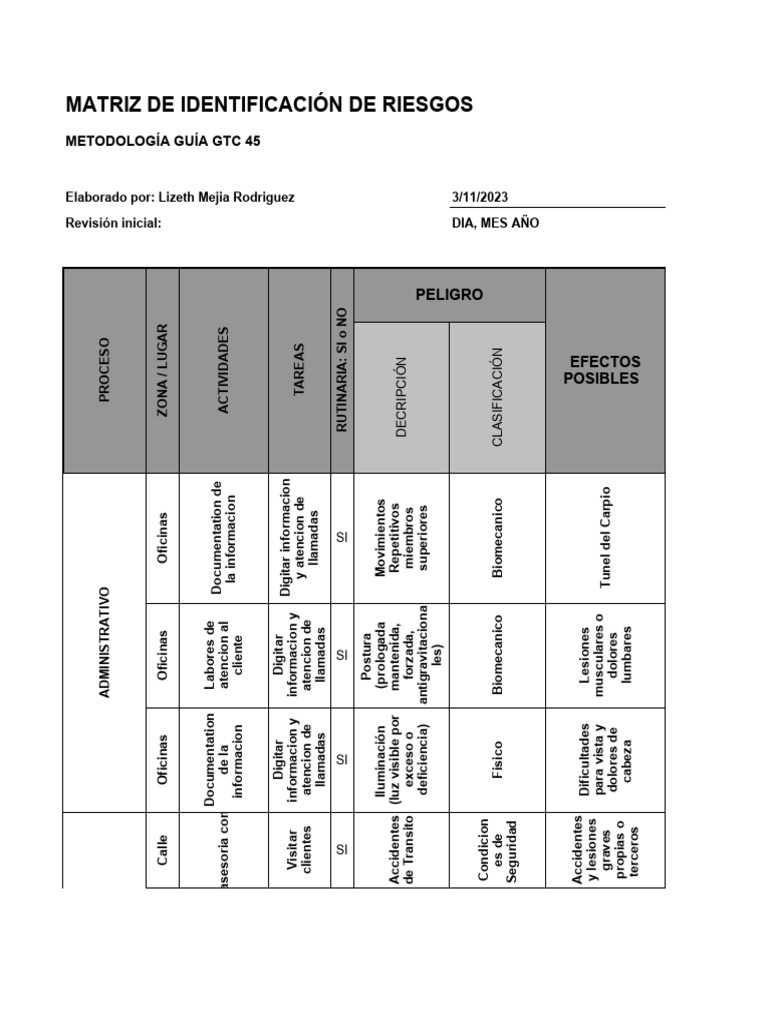 Matriz de Riesgos en Seguridad Laboral | PDF | Radiación