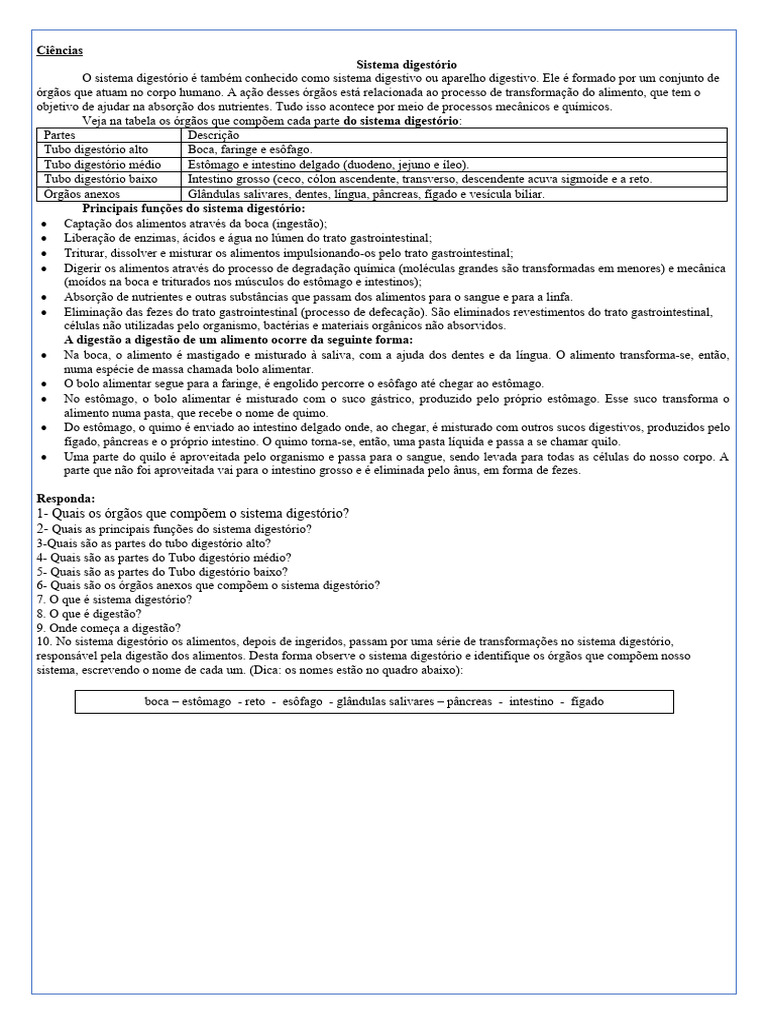 Sistema Digestório Download Grátis Pdf Sistema Digestivo Humano