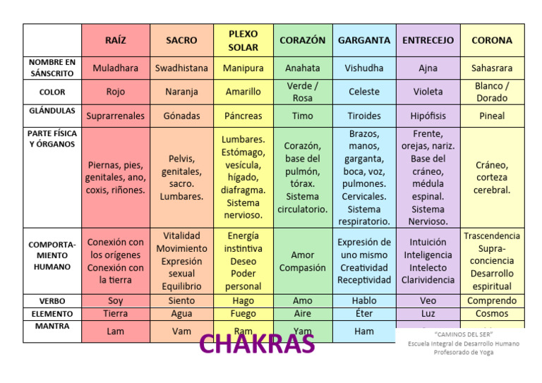 Los 18 Chakras y su Energía | PDF | Anatomía | Órgano (anatomía)