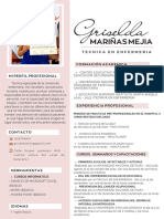 Currículum Vitae CV Diseñadora y Arquitecta Minimalista Rosa (2)