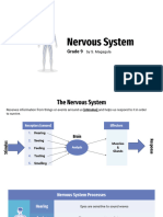 Nervous System