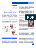 Infección Urinaria No Complicada