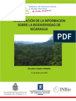 Informe-Nicaragua