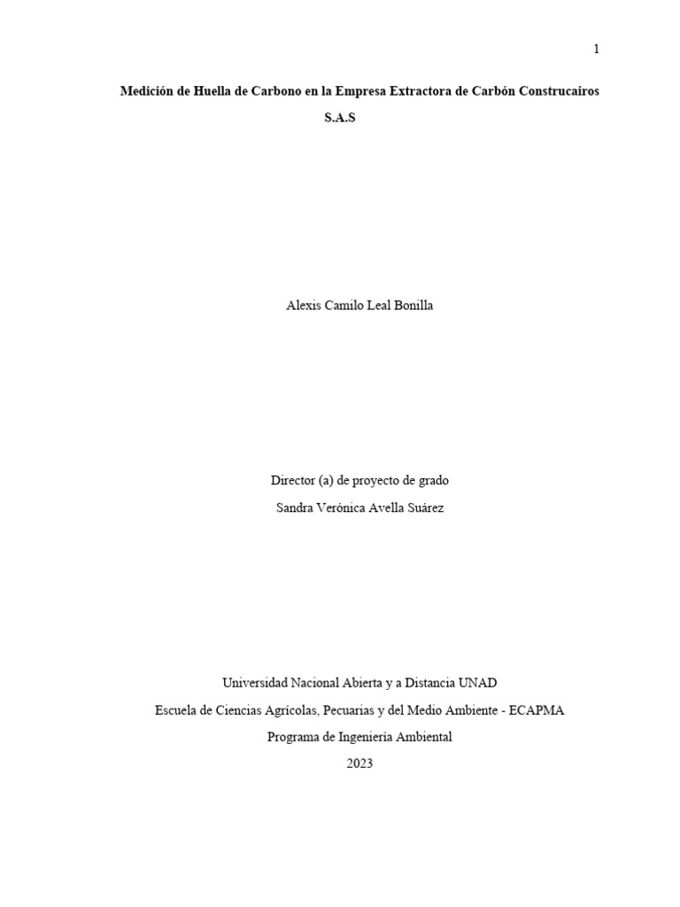 Huella de Carbono 2024 | PDF | Gases de efecto invernadero | Huella de ...