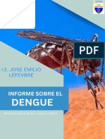 Informe Dengue Jess