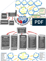 Mapa Mental - Derecho