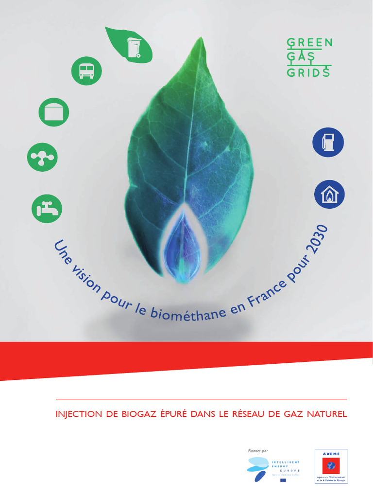 Injection de biométhane dans le réseau gaz | PDF | Biogaz | Méthanisation