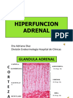 Hiperfuncion Adrenal: Dra Adriana Diaz División Endocrinologia Hospital de Clínicas