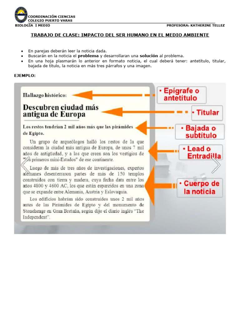 Impacto del ser humano en el medio ambiente | PDF | Coca | Deforestación