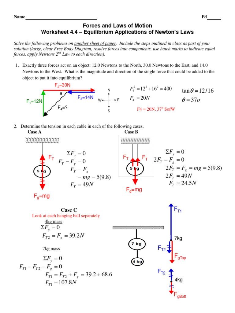 Equilibrium and Forces Worksheet | PDF | Force | Tension (Physics)