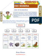 Reino Monera para Quinto Grado de Primaria