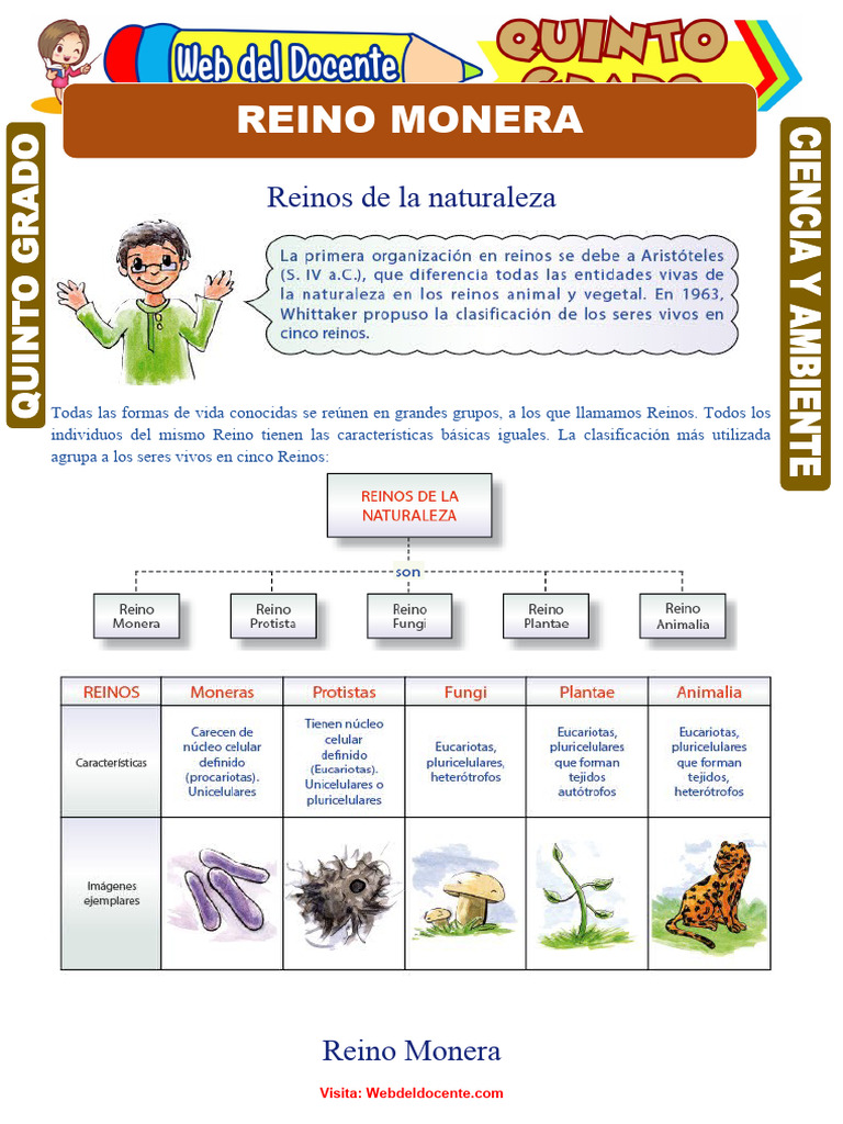 Reino Monera para Quinto Grado de Primaria | PDF | Las bacterias | Biología
