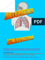 4) Sistema Respiratorio