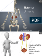 Anatomia - UNO - Diapositivas