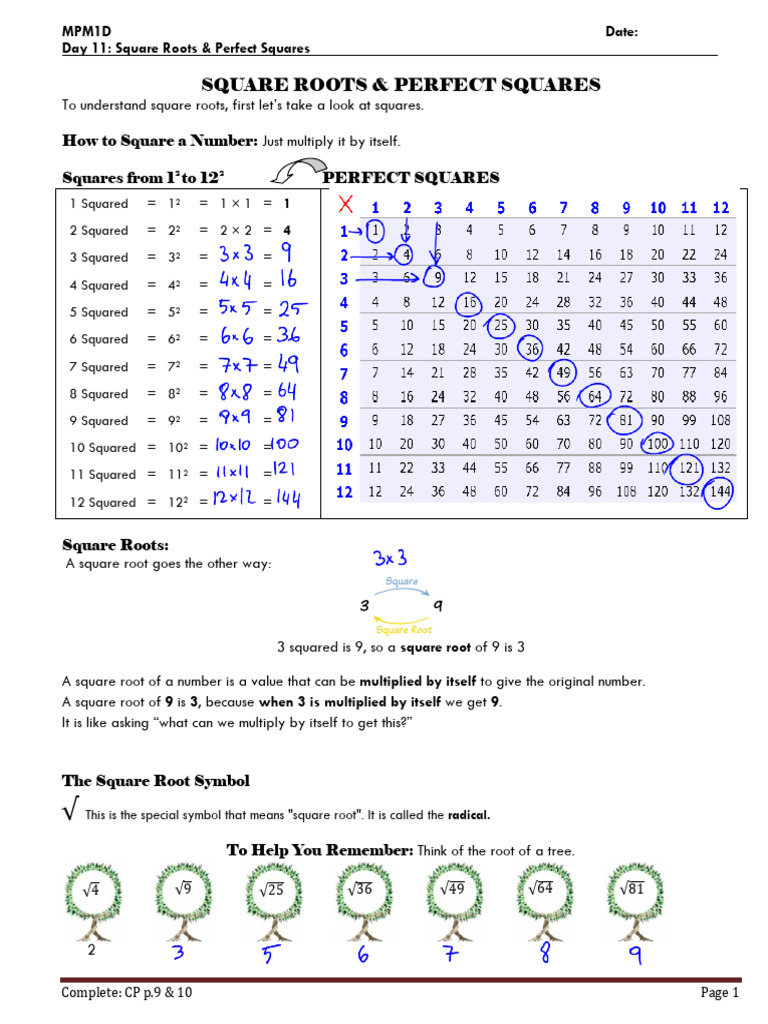 Square Roots and Perfect Squares Guide | PDF
