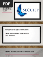 TEMA 3 Técnicas y Procedimientos Metodológicos LP