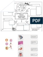 Niveles de Organizacion Plantilla