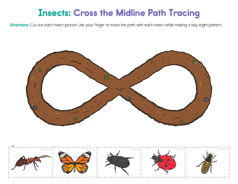 Insects Cross the Midline Path Tracing PDF