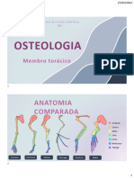 osteologia membro torácico