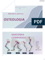 Osteologia Membro Pélvico