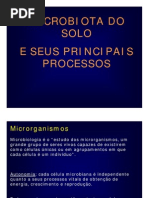 1 CEMARH 2007 Microbiologia Do Solo