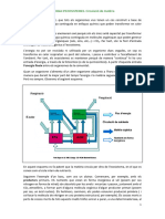 011EcosistemesMateria