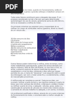 As peças internas do motor