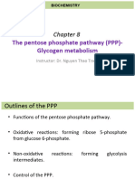 Chapter 8 - Pentose Phosphate Pathway-Glycogen Metabolism