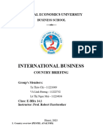 International Business - Country Briefing