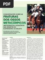 Download Fraturas Metacrpicos LSB by ClaraAlbuquerque SN73529514 doc pdf