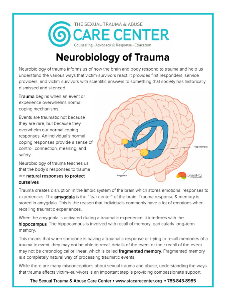 Understanding Trauma Responses | PDF | Psychological Trauma | Memory