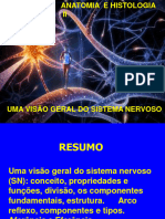AULA 1 Sistema Nervoso - 2021