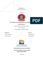 MBA - Project Guidelines PDF