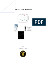 Gel Elektroforesis Fat