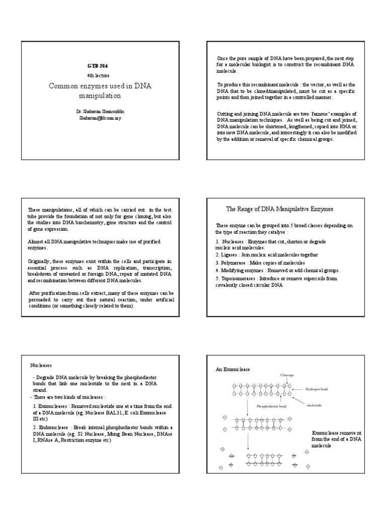 Dna Modifying Enzyme Dna Ligase Dna