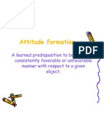 Attitude Formation 2011