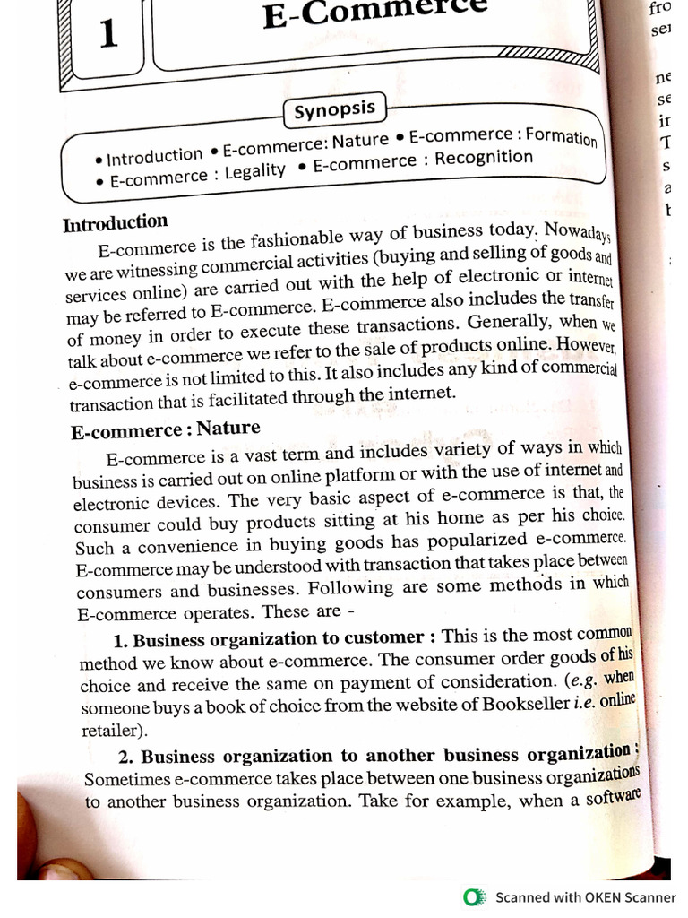 E Commerce | PDF