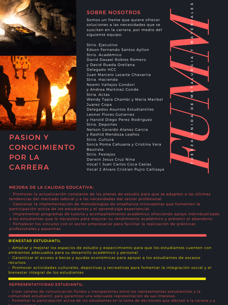 FUMM | PDF